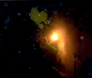 Back Gouging on Rudder